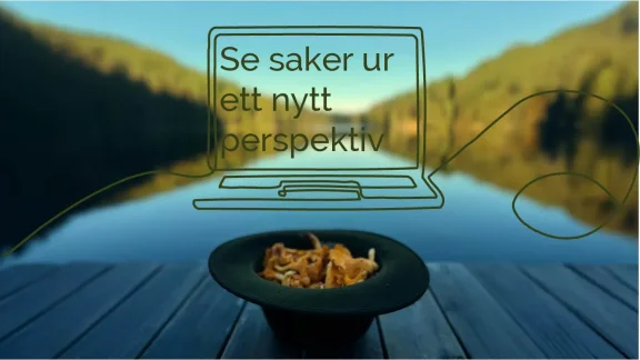 Perspektiv