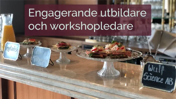 case utbildning